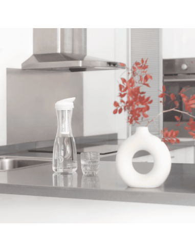 PitcherPro  refil za vrč  – 2 kom